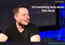 10 Fascinating Facts About Elon Musk You Need to Know