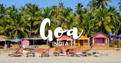 Goa Launches Startup Accelerator Program to Boost Local Entrepreneurship